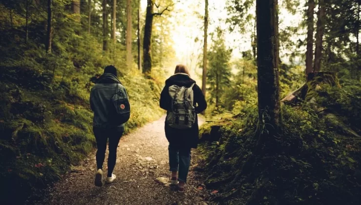Rüyada Ormanda Yürümek Ne Anlama Gelir ?